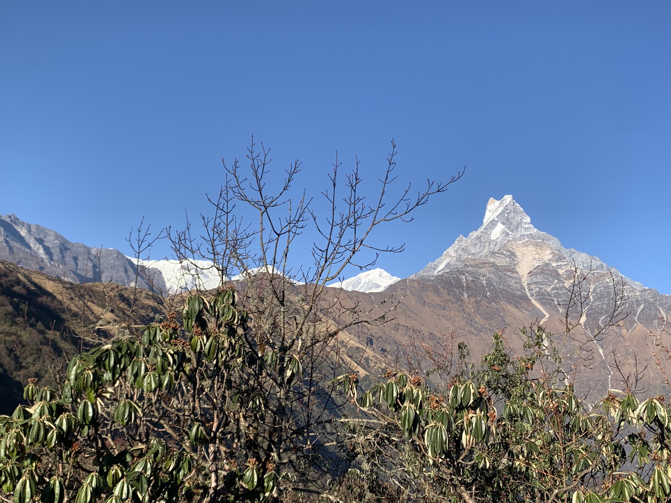 TODO describe: Mardi Himal Trek